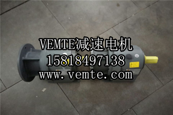 立式齒輪減速機，臥式齒輪減速機,齒輪減速電機,齒輪減速馬達 (1)