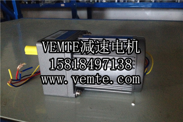 小電機(jī)，小型調(diào)速電機(jī),微型減速電機(jī) (2)