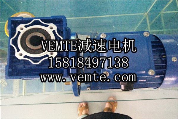 蝸輪減速機，渦輪減速機,RV減速電機 (2)